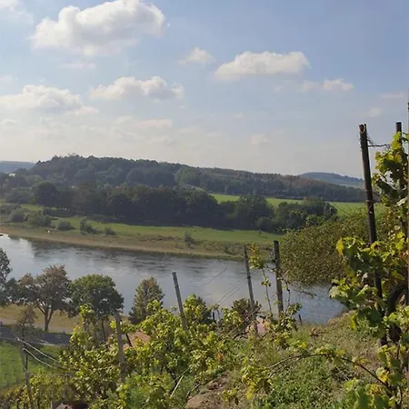 Traminer