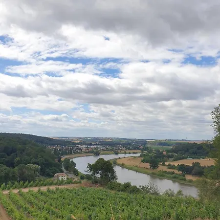 Traminer *