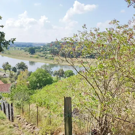 Traminer * Diesbar-Seusslitz